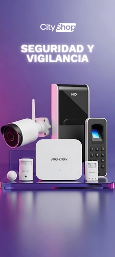 Categoria - Seguridad y vigilancia