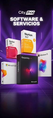 Categoria - Software y servicios