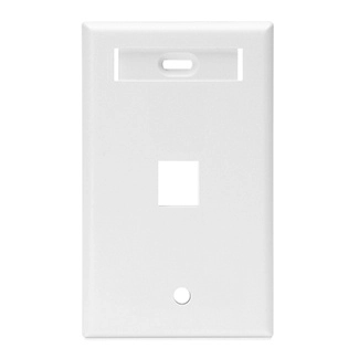 Placa quickport,  sencilla con ventanillas de identificacion, 1 puerto, blanco