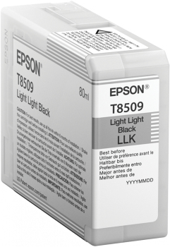 Cartucho epson t850900 - negro