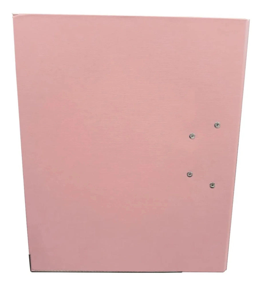 Techmakro kit 25 carpetas para archivo de carton forrado de pvc, peach