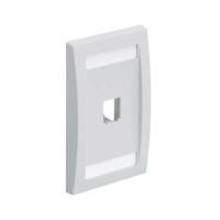 Placa ejecutiva panduit cfpe1why - color blanco