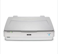 Escaner epson expression 13000xl fotografico, 2400 dpi, tamaño a3 , usb Escaner epson expression 13000xl fotografico, 2400 dpi, tamaño a3 , usb