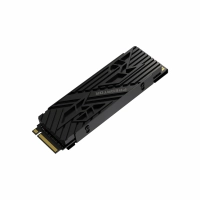 Ssd nvme gen4 predator gm7000 heatsink 4tb - 7400 mb/s