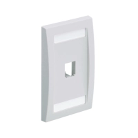 Placa ejecutiva panduit cfpe1why - color blanco
