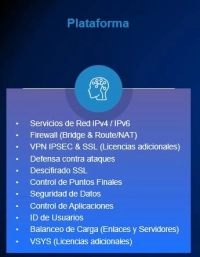 Servicepack hillstone  adicional sgsv-a200-in12u (12 meses)