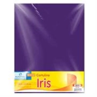 Cartulina euromac iris morado 50x65cm c/10 Cartulina euromac iris morado 50x65cm c/10