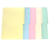 Folders mapasa crema oficio