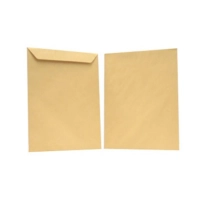 Sobre mapasa bolsa panuco 60k carta c/500