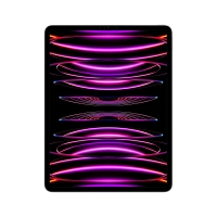 Ipad pro 12.9 wifi 256gb space gray mnxr3lza