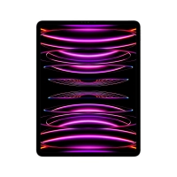 Ipad pro 12.9 wifi + cell 1tb space gray mp243lza