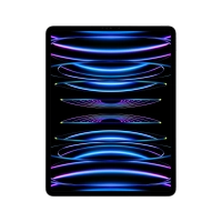 Ipad pro 12.9 wifi + cell 1tb silver mp253lza