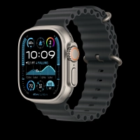 49mm black ocean band extension - natural titanium finish