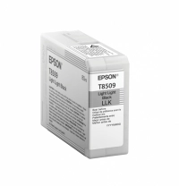 Cartucho epson t850900 - negro