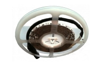 Wejoin wjbled6 - tira de 6 metros  circuito de leds para luz verde y roja  12 vdc  conector especial para barrera wejoin